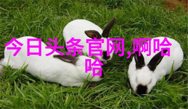 全棵女性艺术写真-翩跹于光影之间全棵女性艺术写真的绚烂章节