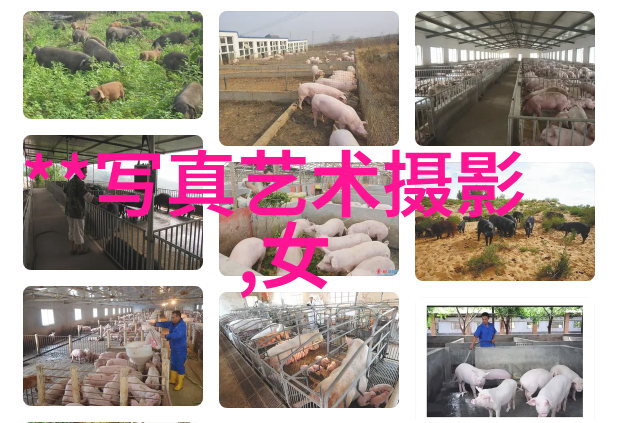 台湾大陆关系新篇章对话与合作的可能之路