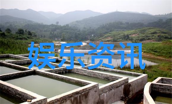 易经八卦揭秘李诞机场偷窥女生遭黑尾酱壁咚