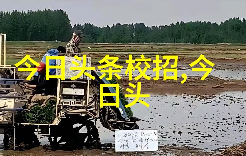 徐若瑄写真我亲眼见证的美丽镜头下的真实与魅力