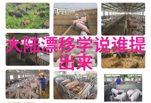 赵丽颖和冯绍峰为什么离的婚 - 星光下的裂痕探究影坛最美夫妻解体的真相