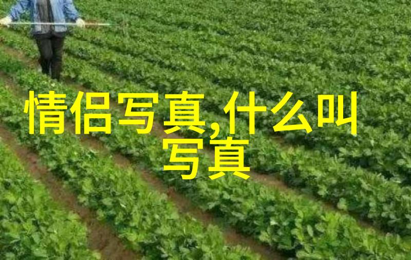 光影绘卷探索高清写真的艺术与技术
