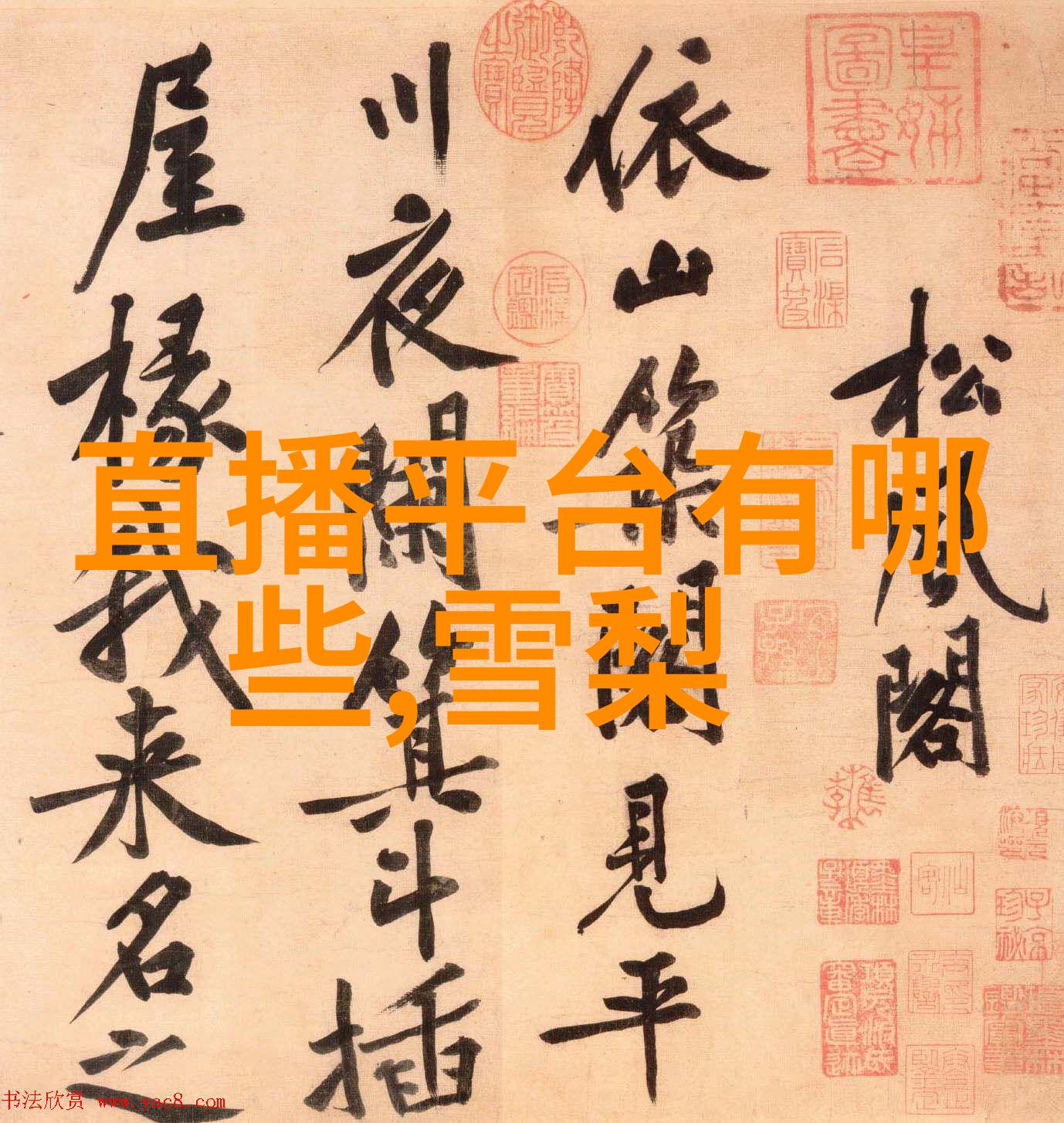麦兵兵夺宝联萌上座率同档第一动物拟人佳作开创奇米影视自然先河