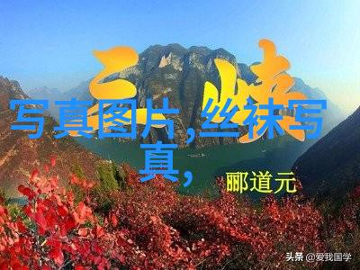 电影院的秘密影像背后的故事是怎样的