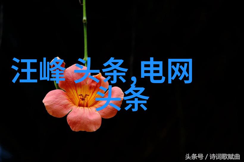 温暖回忆金曲经典的时光之歌