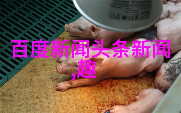 重生之官途风流我的逆袭篇章