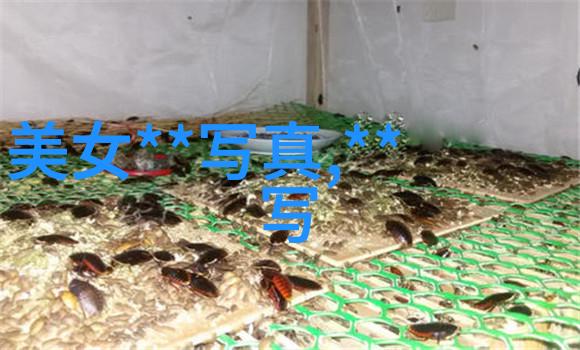 今日头条迷航昆仑墟剑走偏锋突围奇迹成功登峰