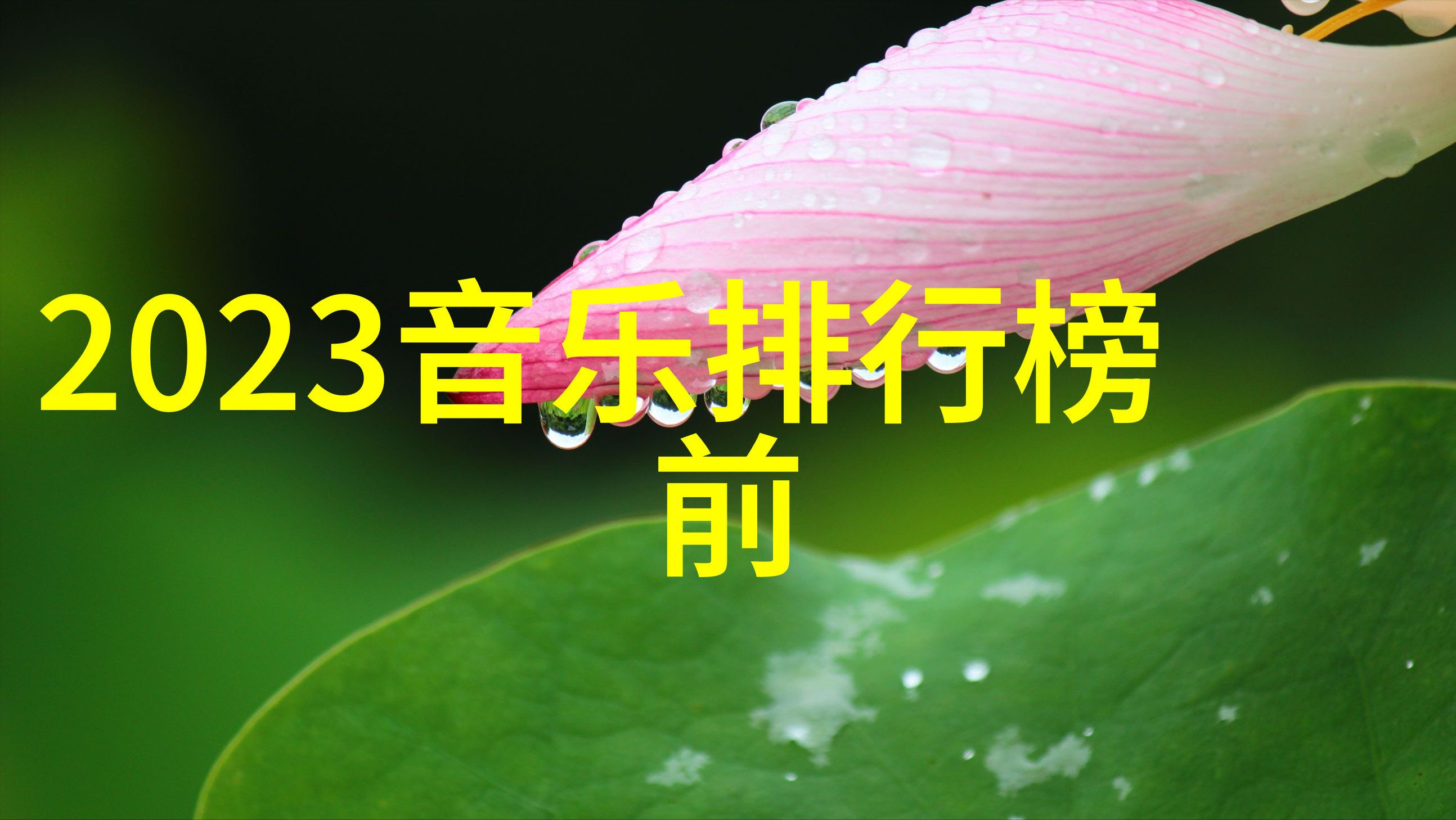 视觉回溯原图探寻的艺术