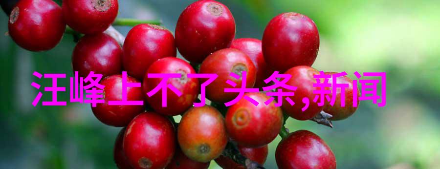 老狼的成长与挑战从JEALOUSVUE到50MAOFF