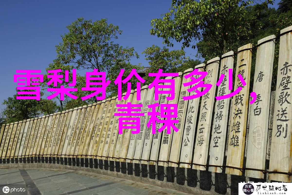 我要上头条我的奇迹之路从平凡到新闻首发