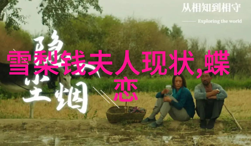 家宅八卦风水方位图解探索传统智慧中的居住空间布局与能量流动