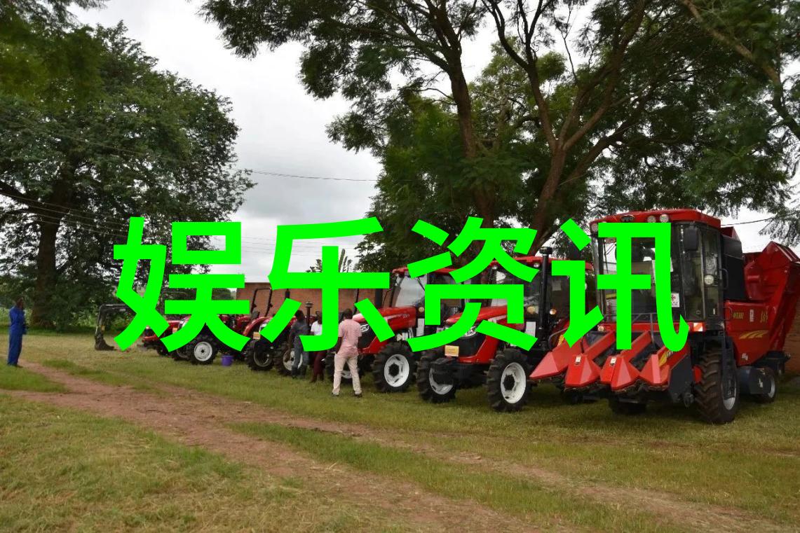 综艺童话星光闪耀的梦想之旅