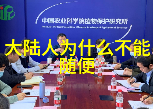 当真相大白时谁能承担责任剧集回顾及展望未来发展趋势
