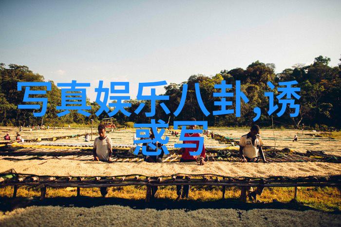 风雨兼程大明星在电视剧中的成长历程