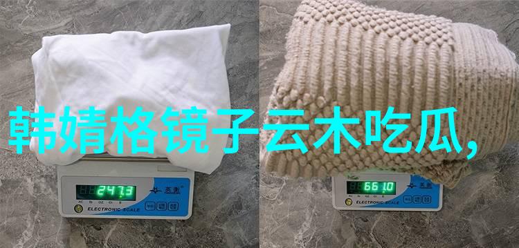 恋恋风情深度探索日本综艺中的爱情奇遇