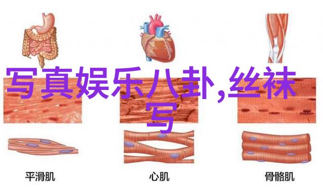电影中的孤注一掷命运的抉择与英雄的荣耀