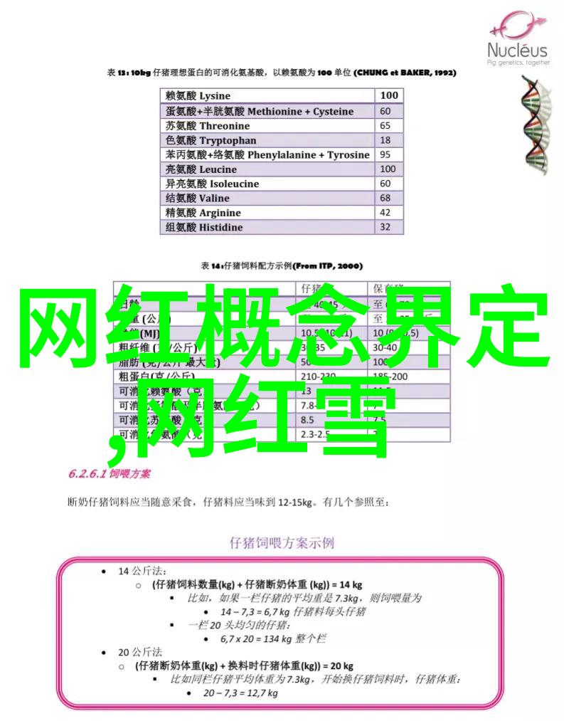 探索不同风土人情专访综藝三國之王的主持人李小璐许嵩和张继科