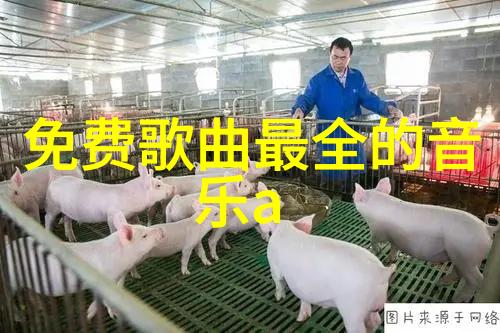 揭秘自我解读生命之盘