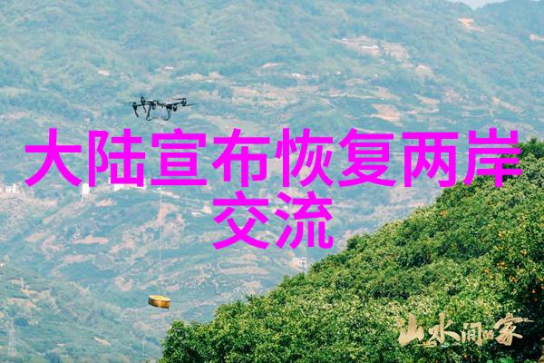 画卷里的智慧艺术作品中的特别深刻形象和信息