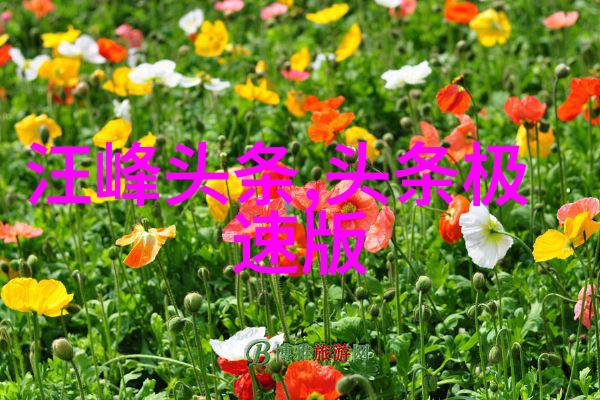 电视剧冷宫传探秘封建王朝的隐秘生活