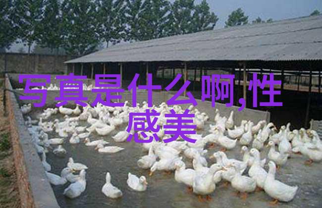 影视评论-2019年最好看的中文大片电影盛宴不容错过