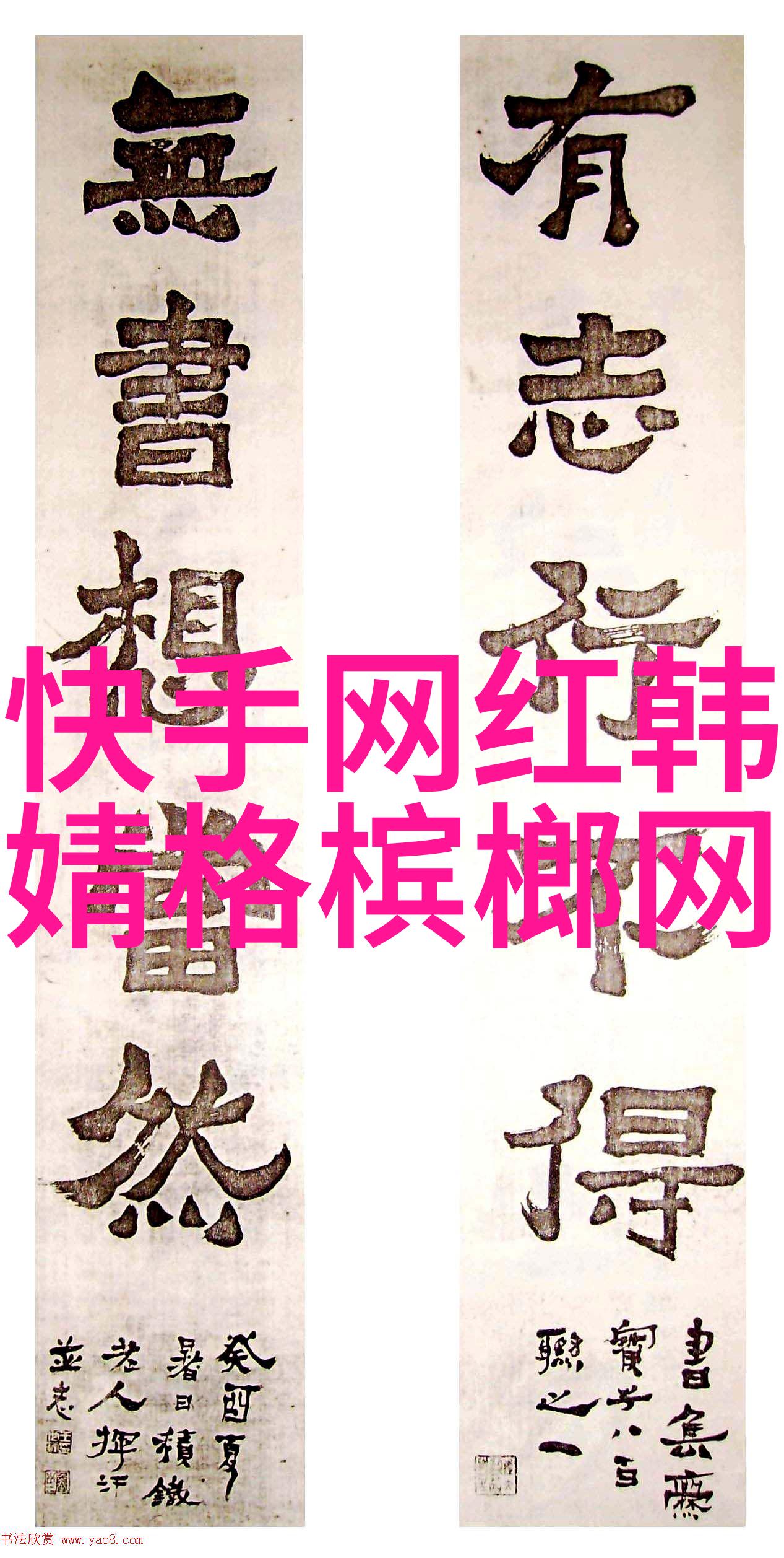 绽放的佳人镜头下的梦境