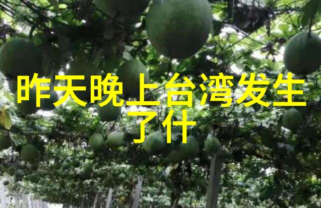 12月26日星座之谜揭秘水瓶座的奇幻世界