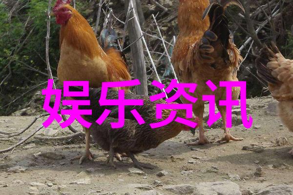 演艺圈里隐藏着怎样的权谋斗争和利益纠葛