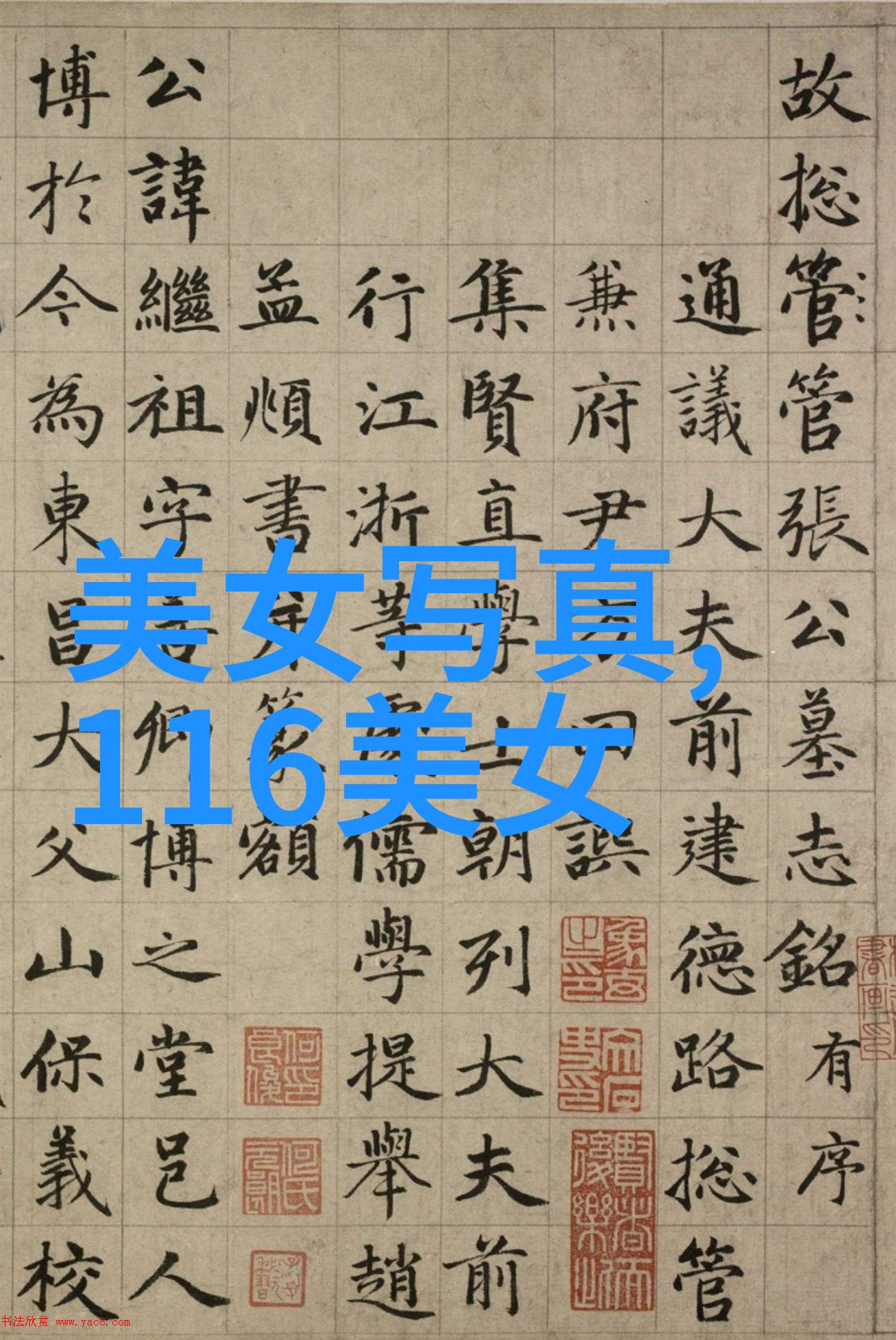 台湾最新消息今日焦点政经热点与社会动态全解析
