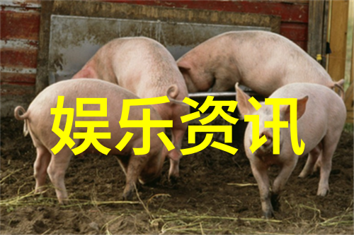 易经八卦分别代表什么-解读古老智慧易经八卦的深远象征