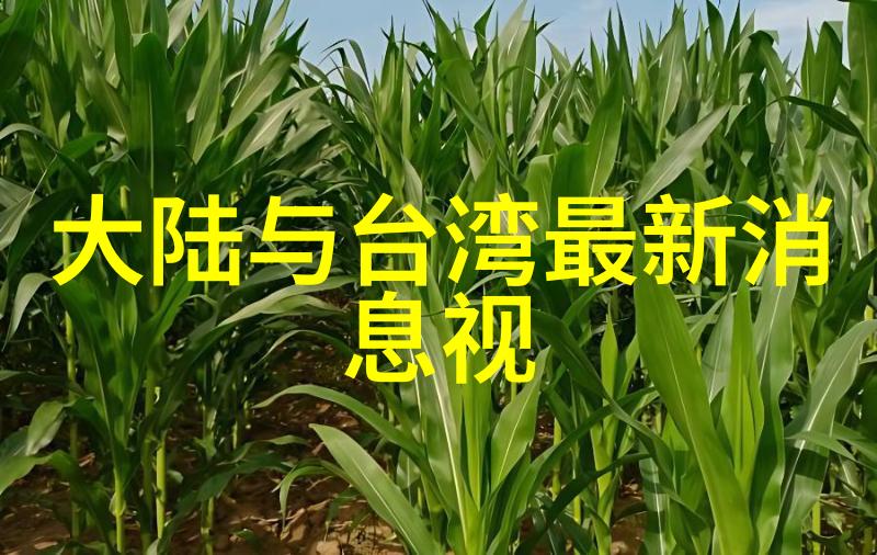 全网音乐免费听解锁无限旋律的秘密花园