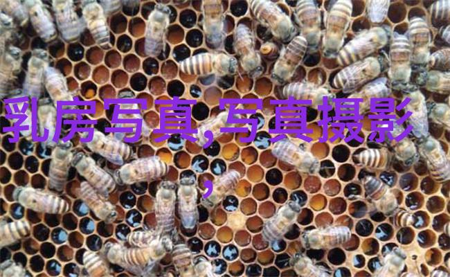 未来版本中我们可以期待哪些新的功能和改进