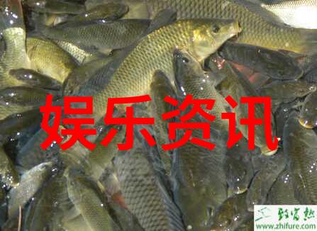 真相记录实拍摄影的艺术与技术