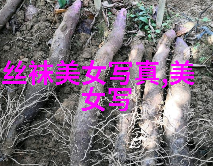 山川之美