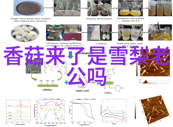 上海10月气温破历史最高纪录路星辞含着段嘉衍的性器补车在自然景观中寻求凉爽