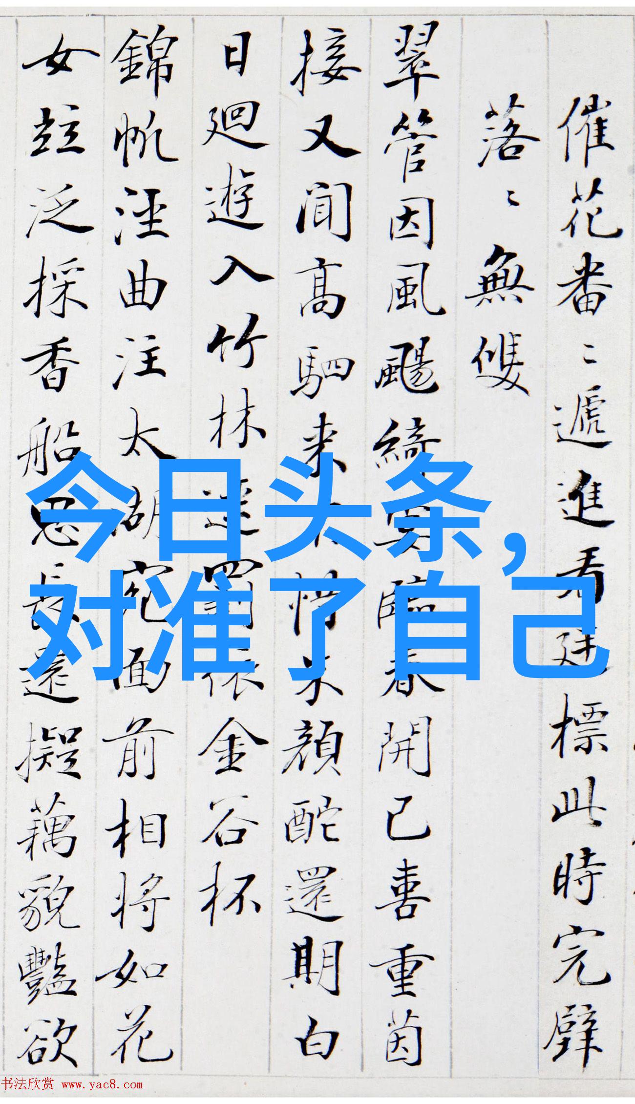 探秘幕后故事解读节目魅力