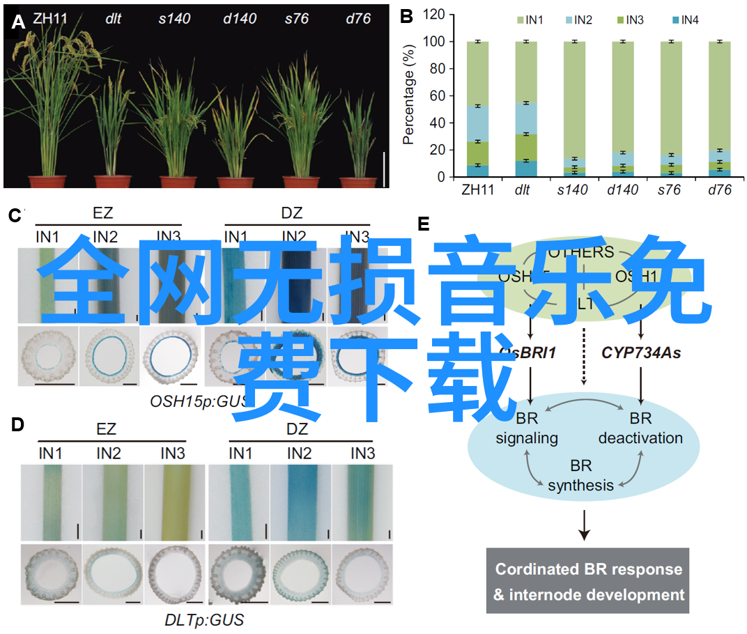 5144这个号码在现实生活中的应用场景有哪些例子