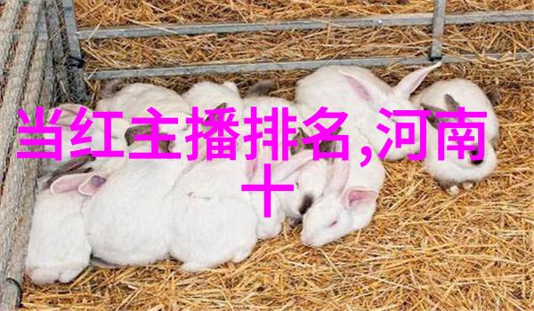 俄罗斯RAPPER潮水-冰封的韵律俄罗斯新一代Rapper的崛起与影响