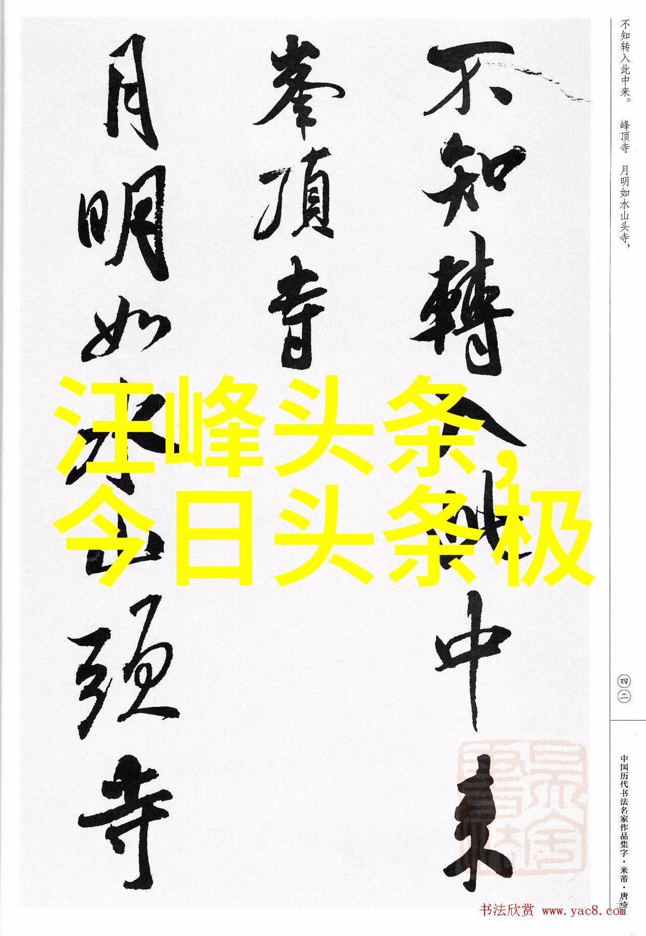 尽情追逐梦想自由娱乐的无限可能