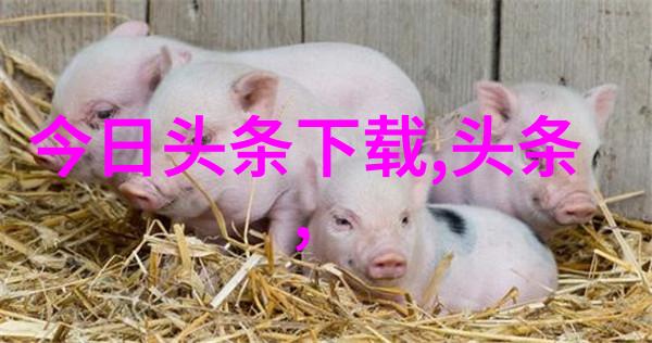 探索广西综艺旅游频道发现南国风情与文化之旅