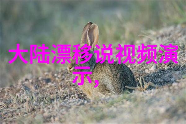 红楼梦穿越千年映射人心的经典之作