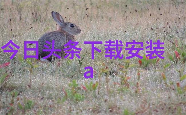 父亲送女儿情侣包如何平衡关爱与界限