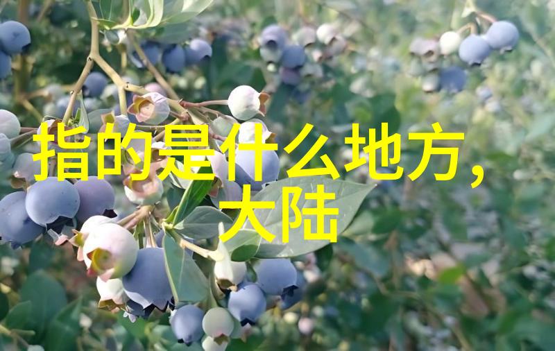 台湾人的国家认同与称呼之争议探究