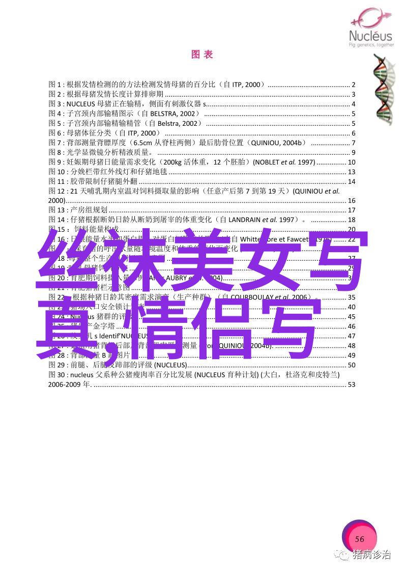 头条号探秘新闻界的标杆与力量
