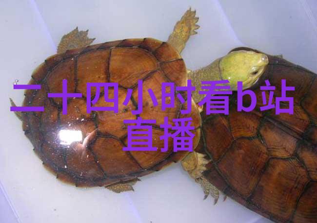今日头条极速版常远携新作回家引社会关注温暖抱抱传递在天津路演