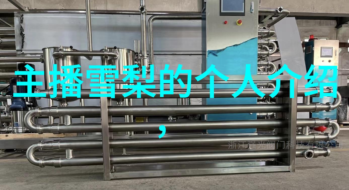 王洋的故事我是王洋从小城到大都市的无悔选择