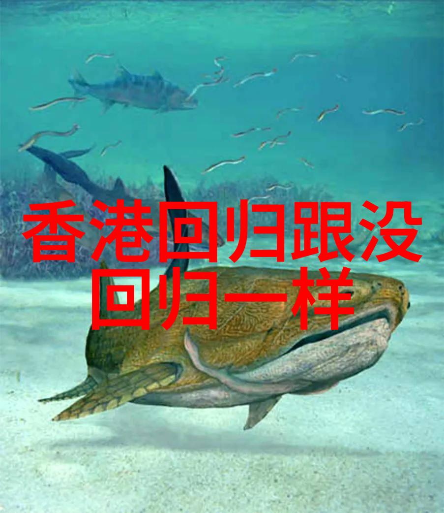 探秘今日头条算法它如何决定你的首页推荐