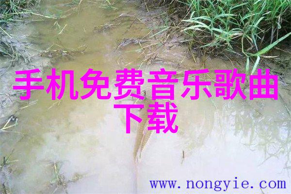 算命八字最准的免费网站中国传统风水解读