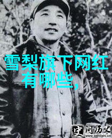 台海关系新篇章探索大陆与台湾当前互动的复杂性