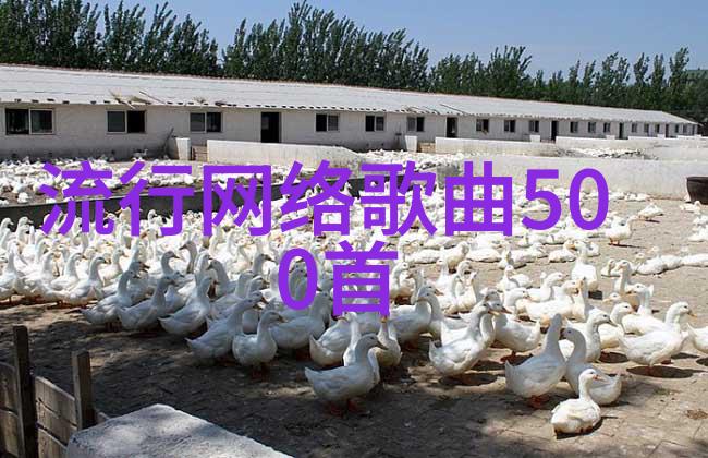 美女写真套图中的光影运用有什么技巧